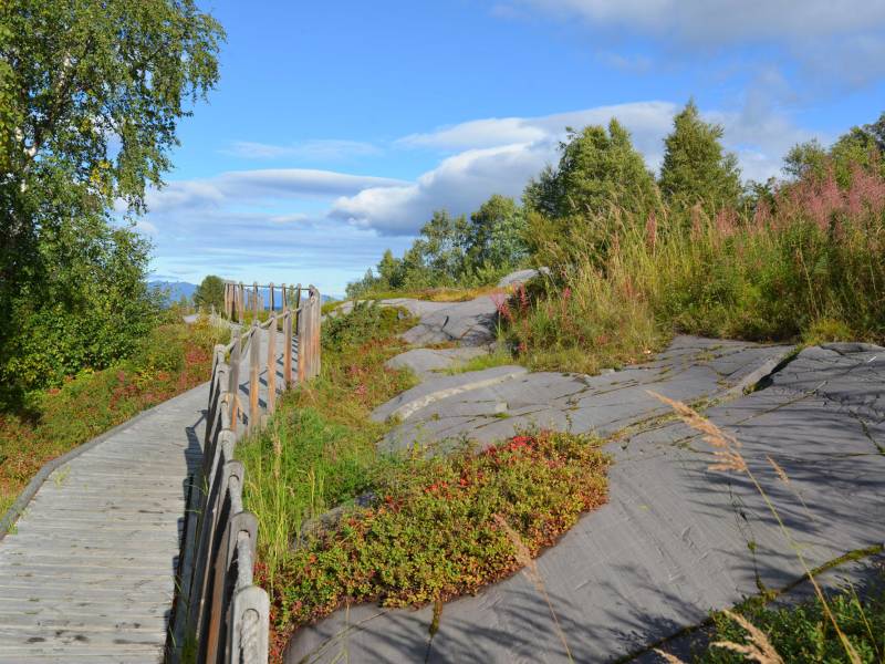 Startbilde_Helleristningene i Hjemmeluft