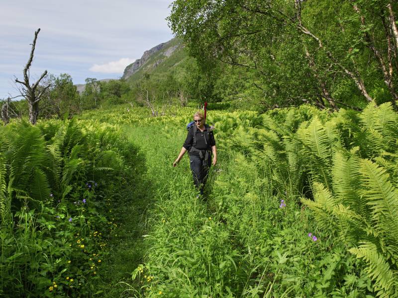 000846_Baard-Loeken_www.nordnorge.com