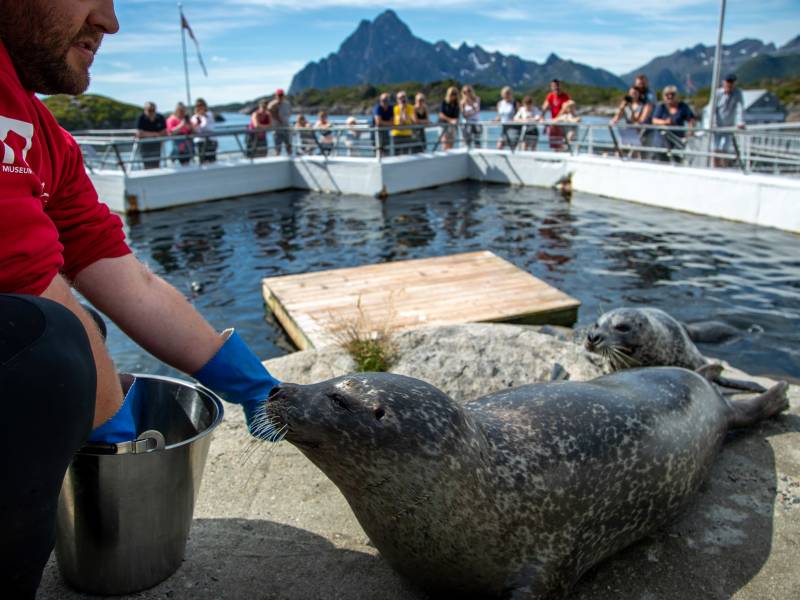 010487_Hallvard-Kolltveit_Destination-Lofoten