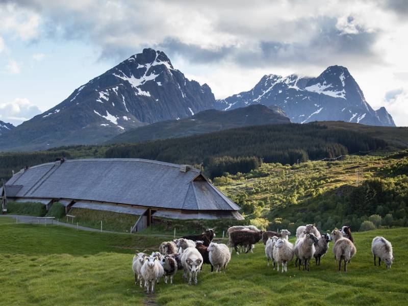 Foto Kjell Ove Storvik Lofotr Vikingmuseum (62)