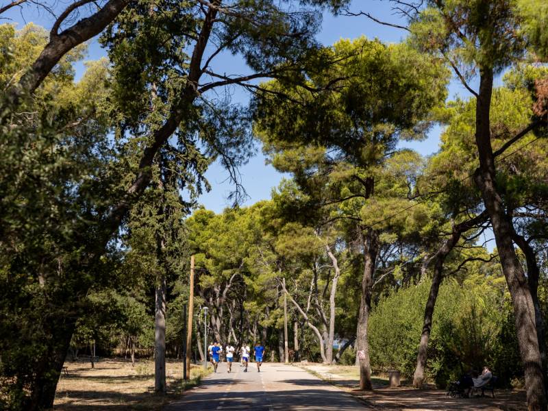 Park šuma Marjan