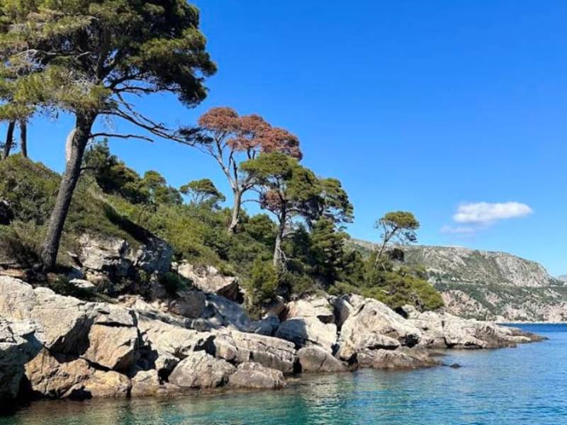 Lokrum