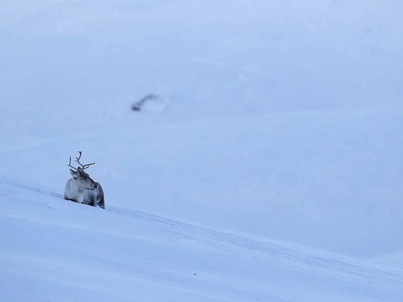 2 Dovre Fjellstyre