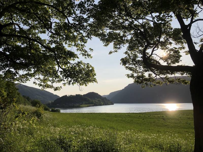 Grønset 3