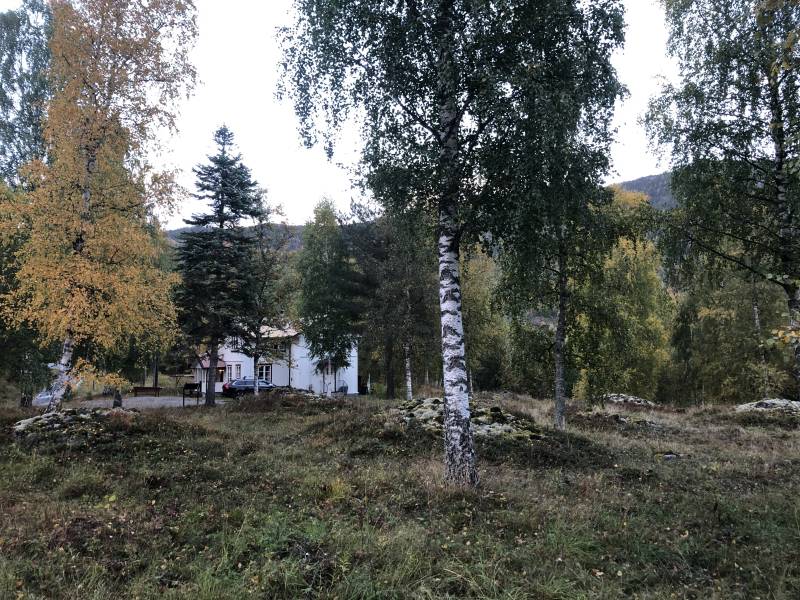 Frygne gravfelt
