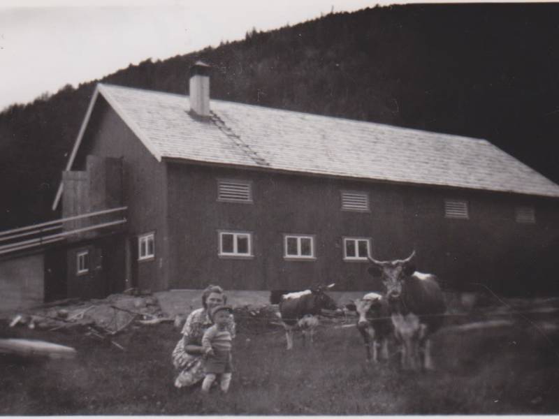 Sandviken 1952