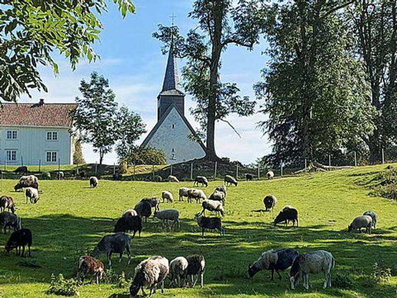 5c Kystpilgrimer i går og i dag