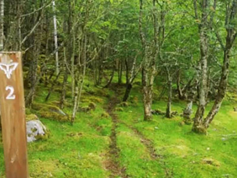 5d Kystpilgrimer i går og i dag