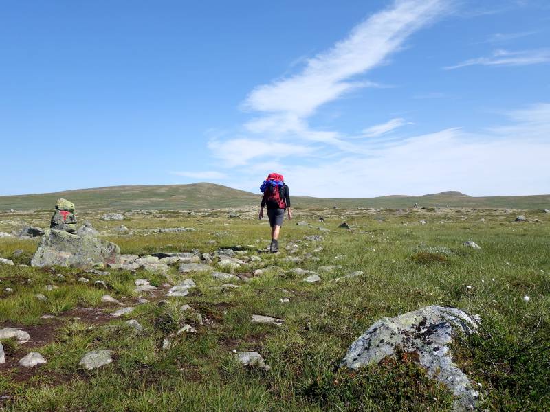 hardangervidda