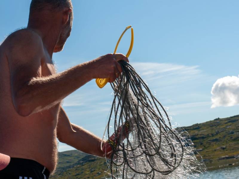 Garnfiske Foto Gunnar Elnan