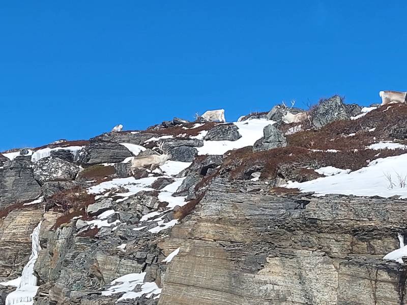fjellformasjon111