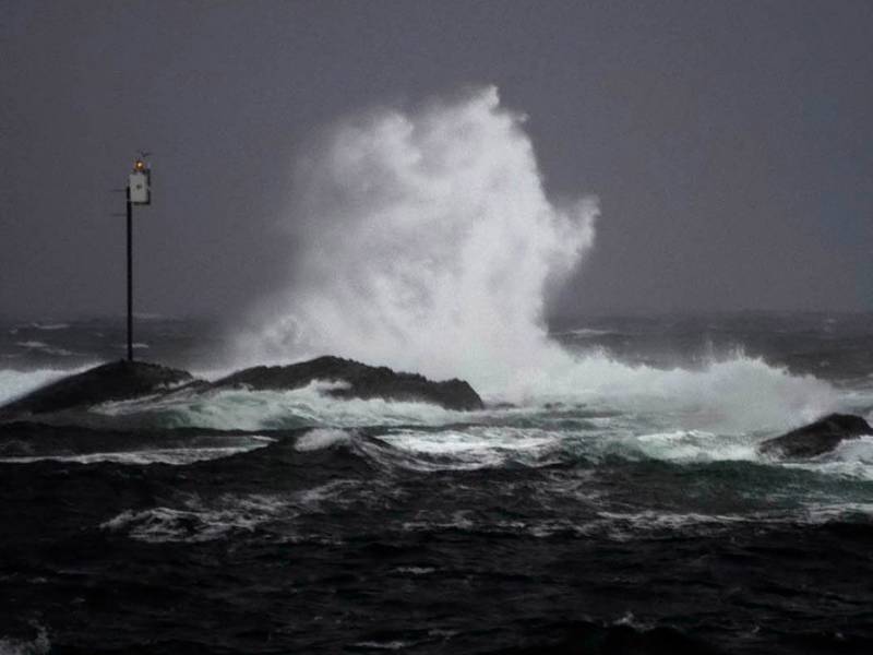Störtebeckers gullskatt