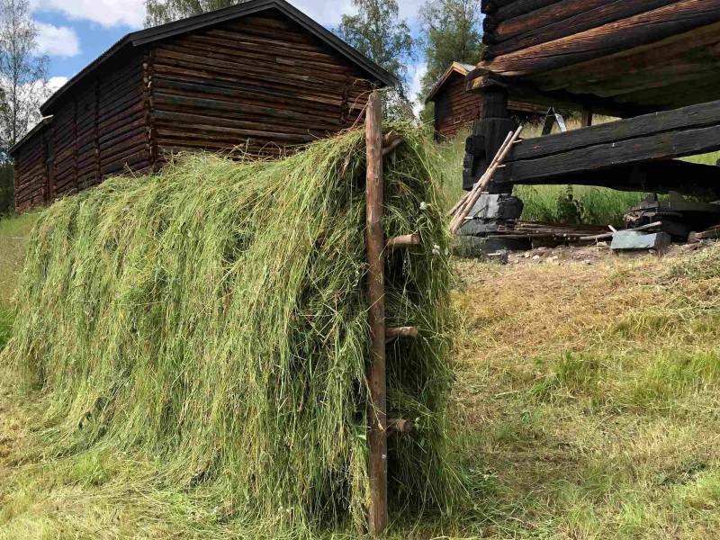 Artsrik slåttemark