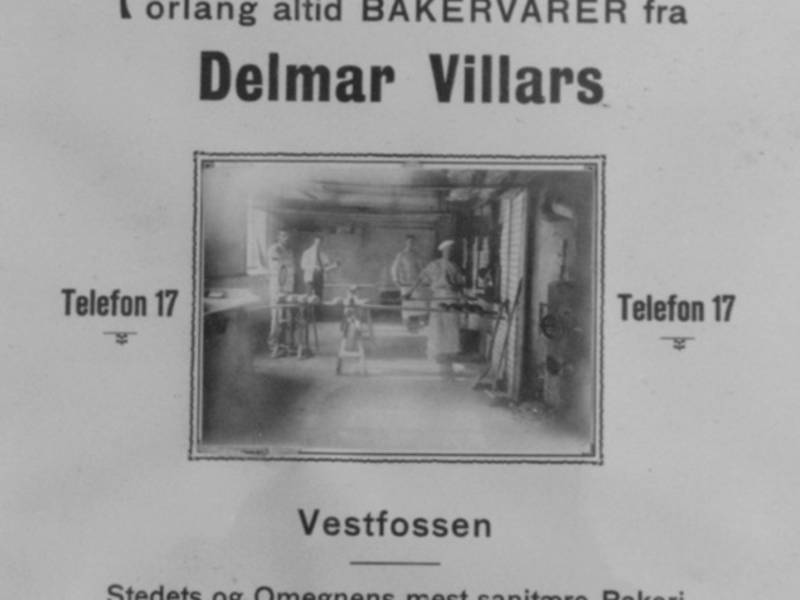 Delmar Villars