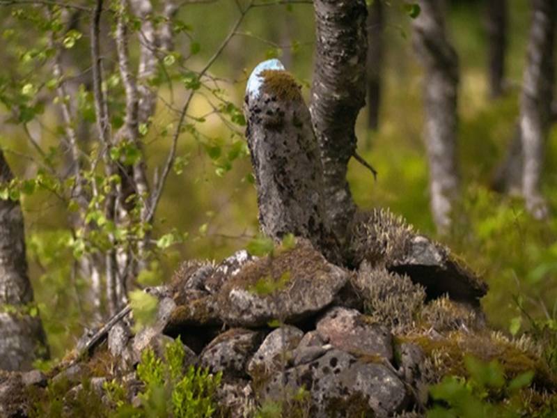 Varpet ved den gamle byvegen