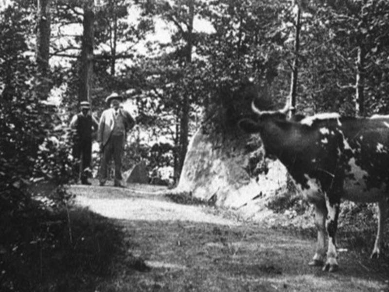 Nesset prestegard og Bjørnstjerne Bjørnson