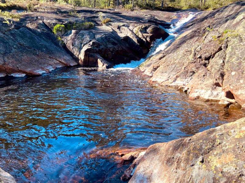 Skardehei aktivitetsområde