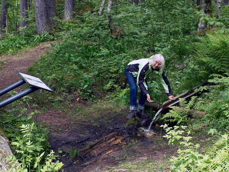 Olavskjelda på Alstad