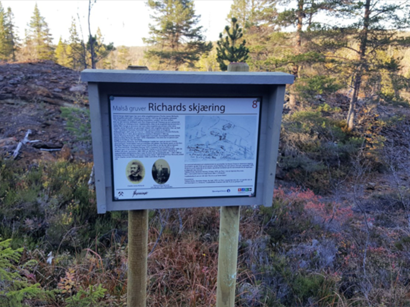 Richards skjæring