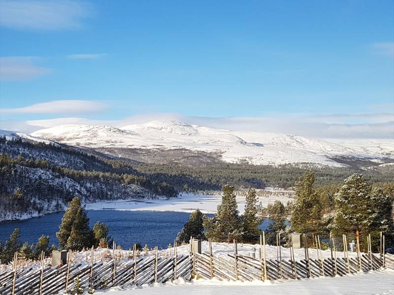 utsikt over sjø og fjell med snø