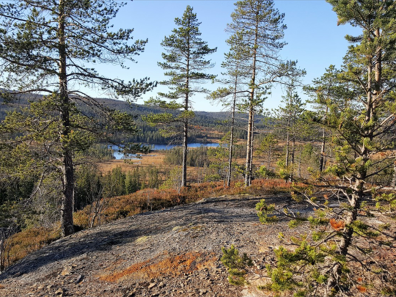 Crowes gruve (Storgruva) øvre inngang