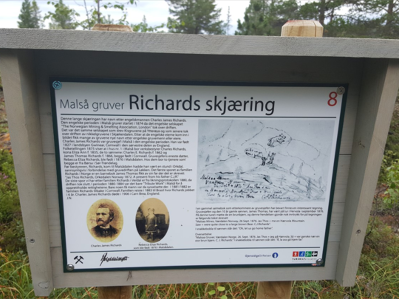 Richards skjæring