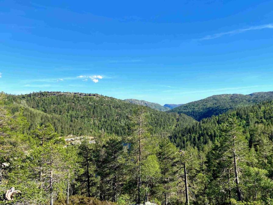 Skardehei aktivitetsområde