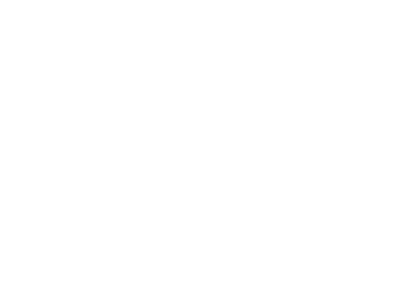 Logo_Alvavoll (1)