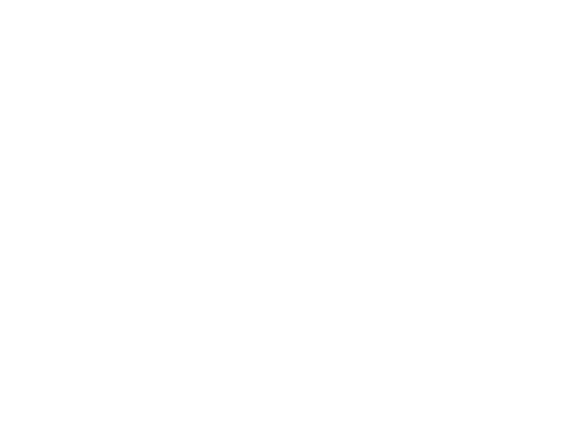 VITI_Sunnnmore_Museum_Negativ