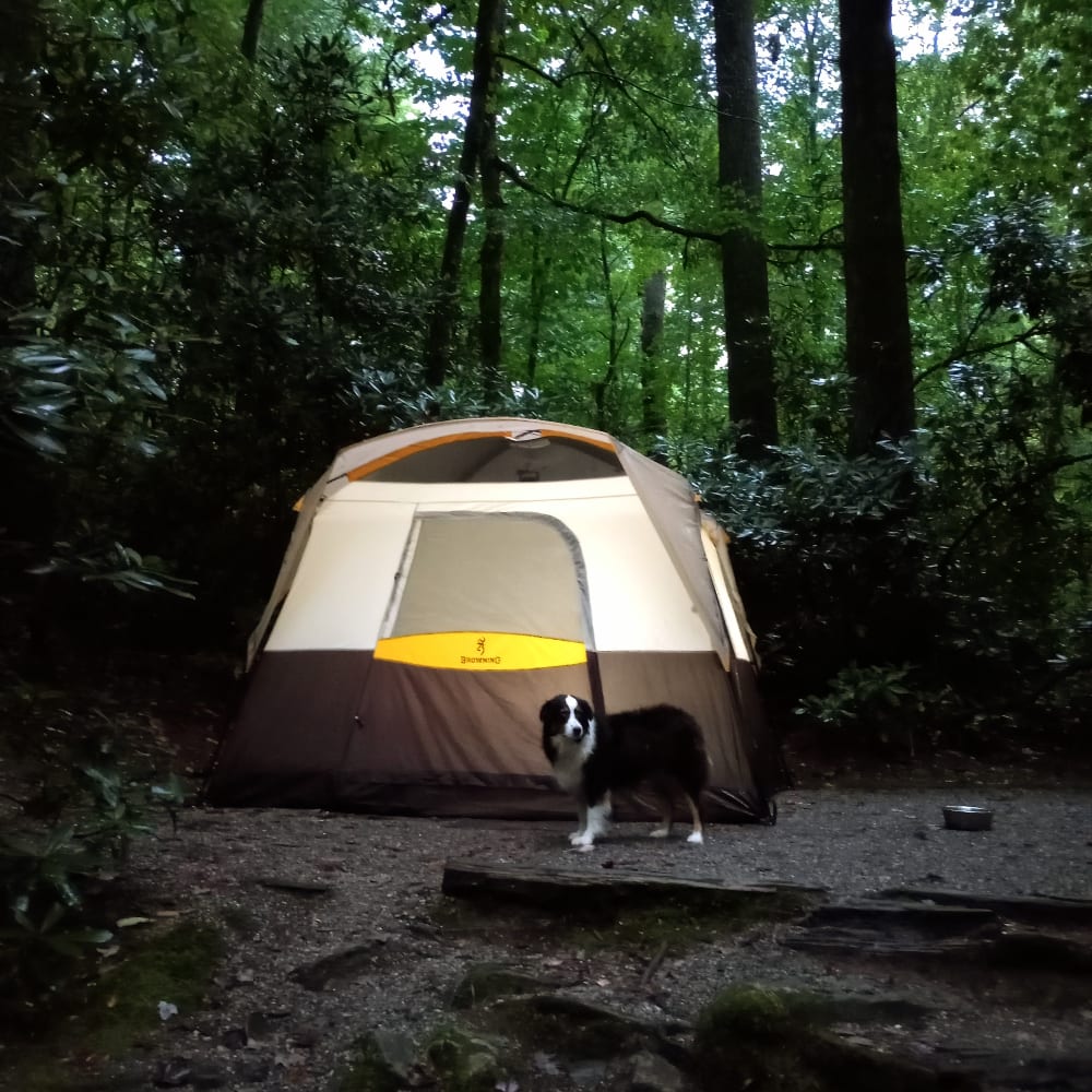 Browning camping big horn tent deals
