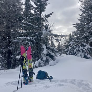 Kemper Snowboards | ExpertVoice Kemper Snowboards | ExpertVoice