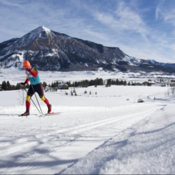 SWIX PADDED VELCRO XC SKI STRAPS – The Nordic Skier