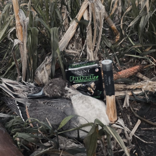 Expert Recommendation Content