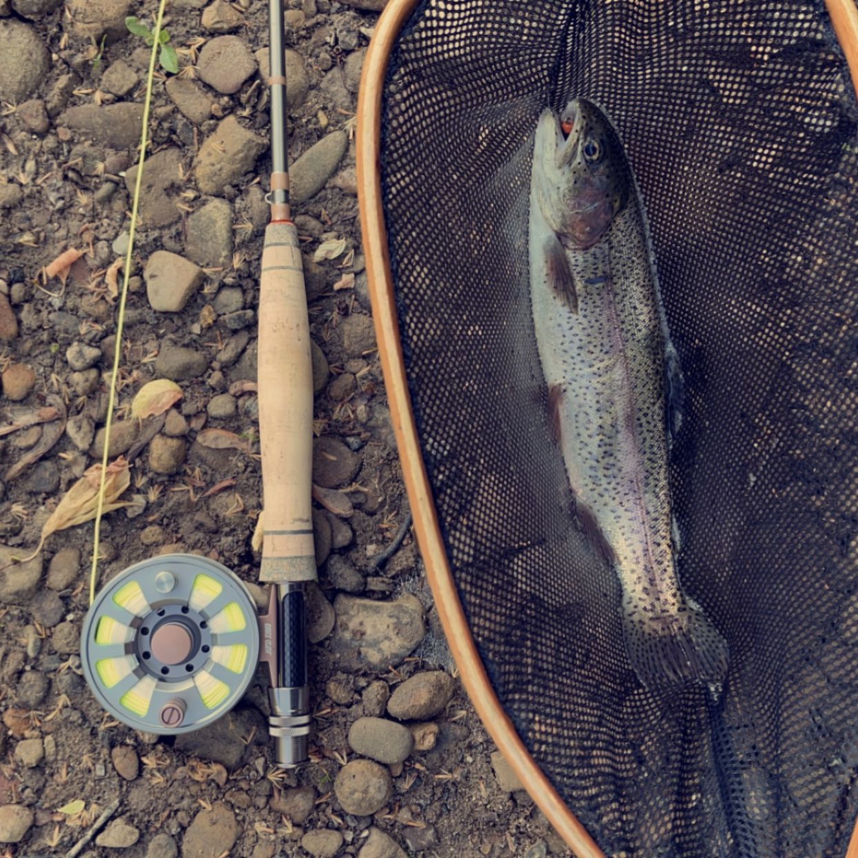 2wt fly rod fish Winston Pure 2 6'9" 3wt the PURE 2 loads beautifully and provides incredible touch 2wt 7' Wanted Edition and