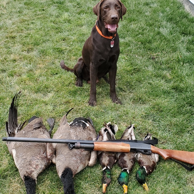 Expert Recommendation Content