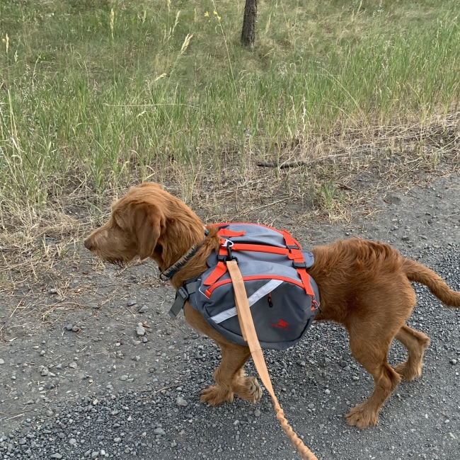 Mountainsmith K-9 Dog Pack Large Lava Red