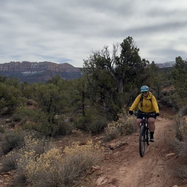 Expert Recommendation Content