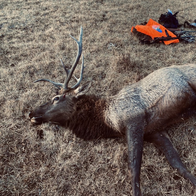 Expert Recommendation Content