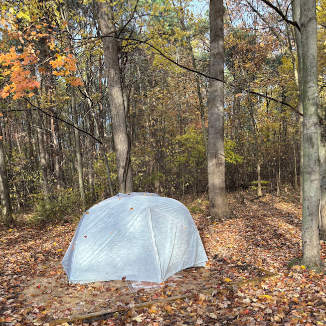 Expert Recommendation Content