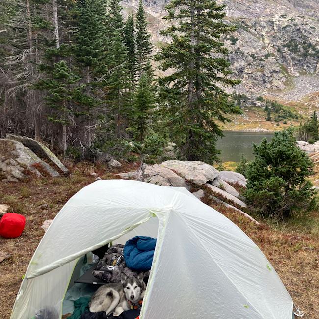 Tiger Wall 3 Platinum Ultralight Tent | Big Agnes