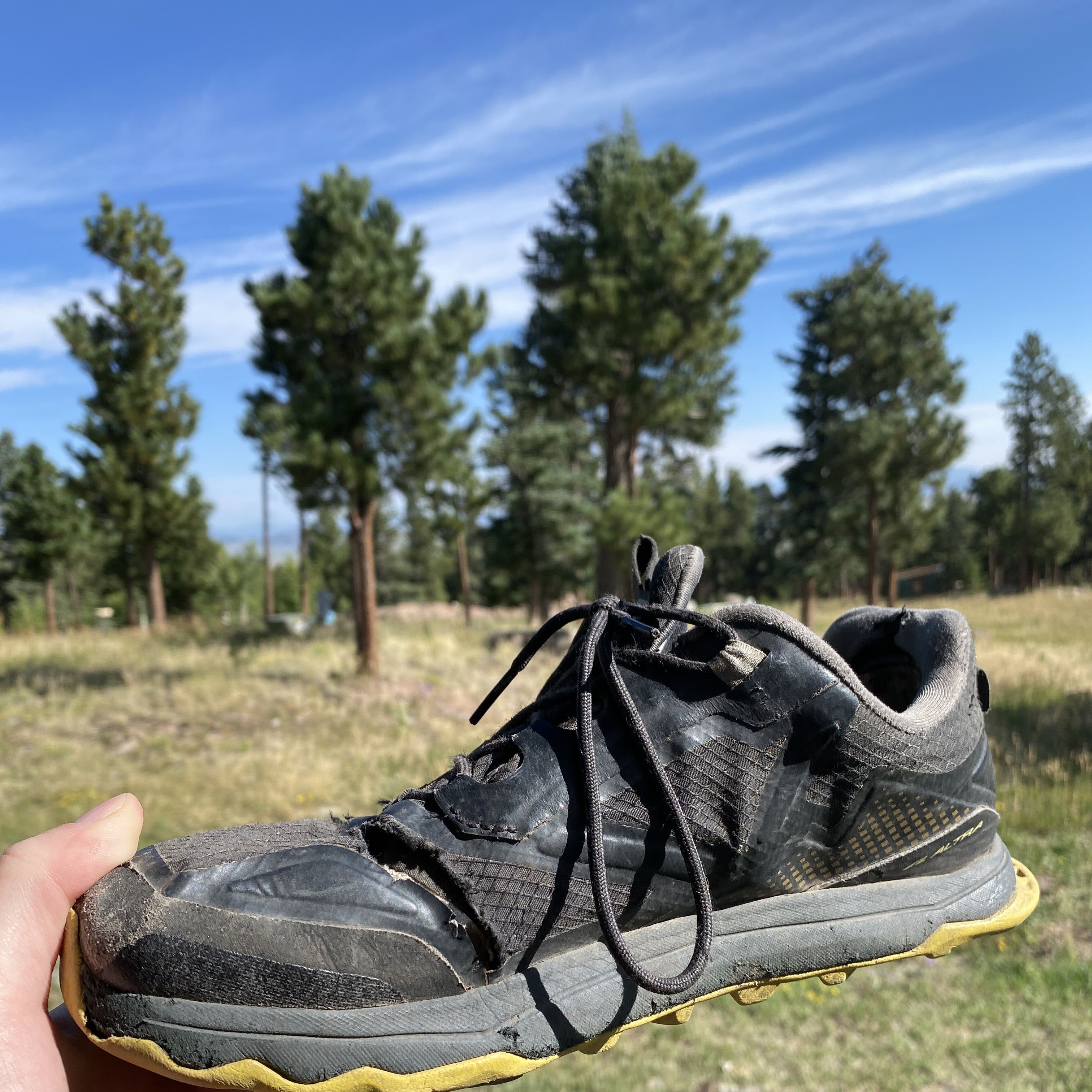 Expert review of ALTRA LONE PEAK ALL-WTHR LOW Men's ExpertVoice