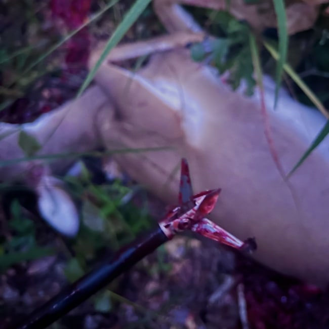 Expert Recommendation Content