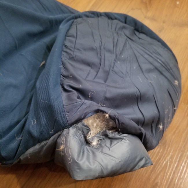 Sidewinder SL 20° Mummy Sleeping Bag | Big Agnes Sidewinder SL 20° Mummy Sleeping Bag | Big Agnes