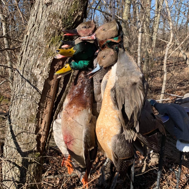 Expert Recommendation Content