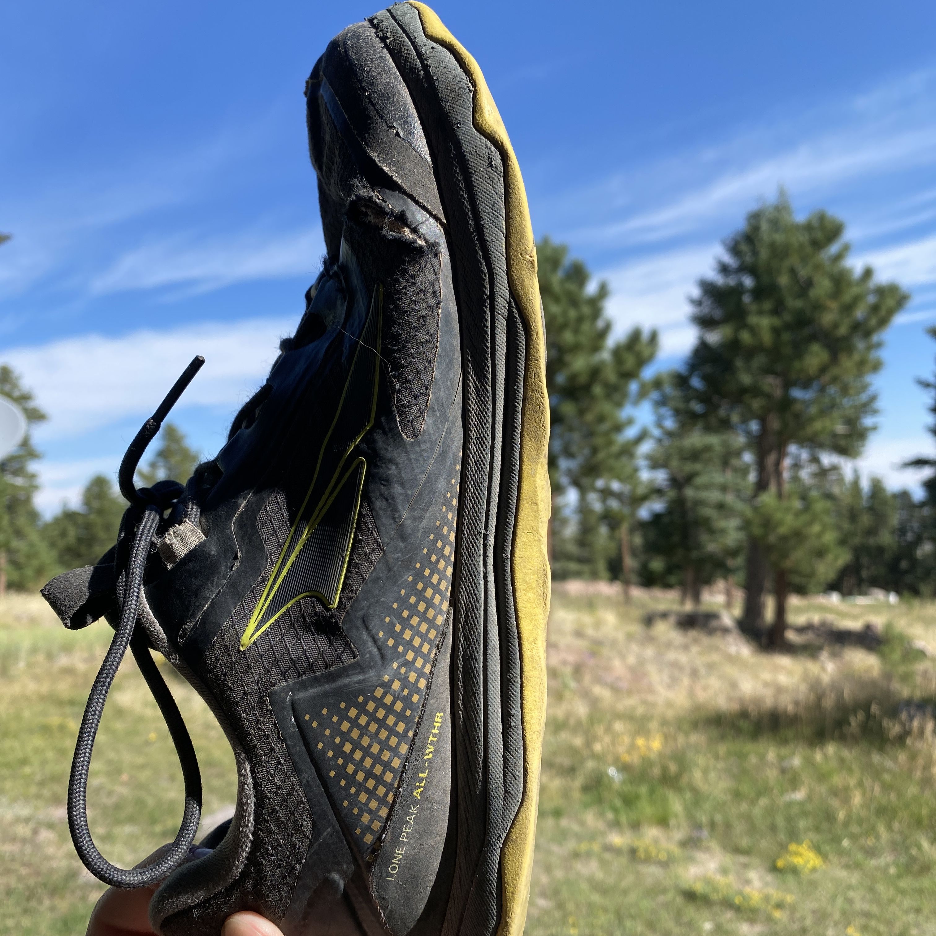 Expert review of ALTRA LONE PEAK ALL-WTHR LOW Men's ExpertVoice