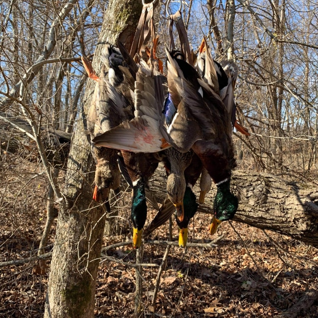 Expert Recommendation Content