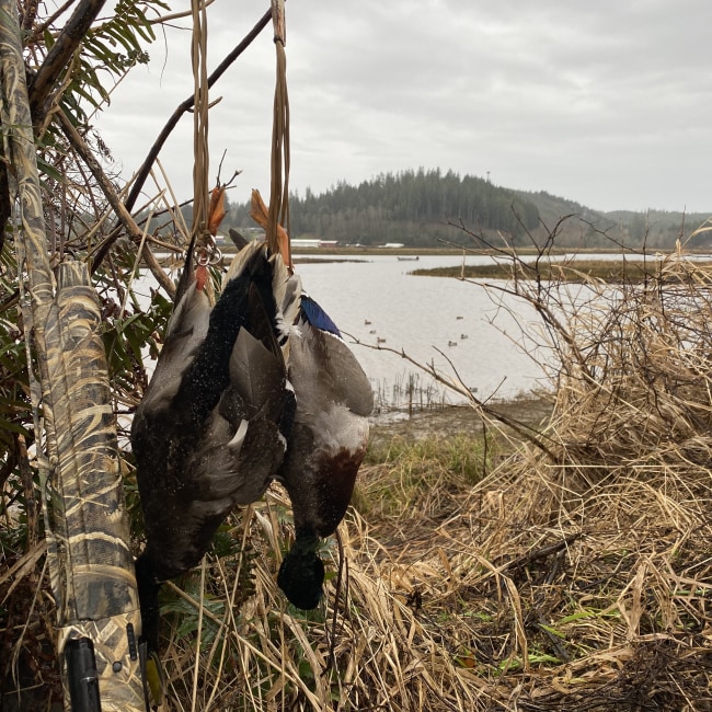 Expert Recommendation Content