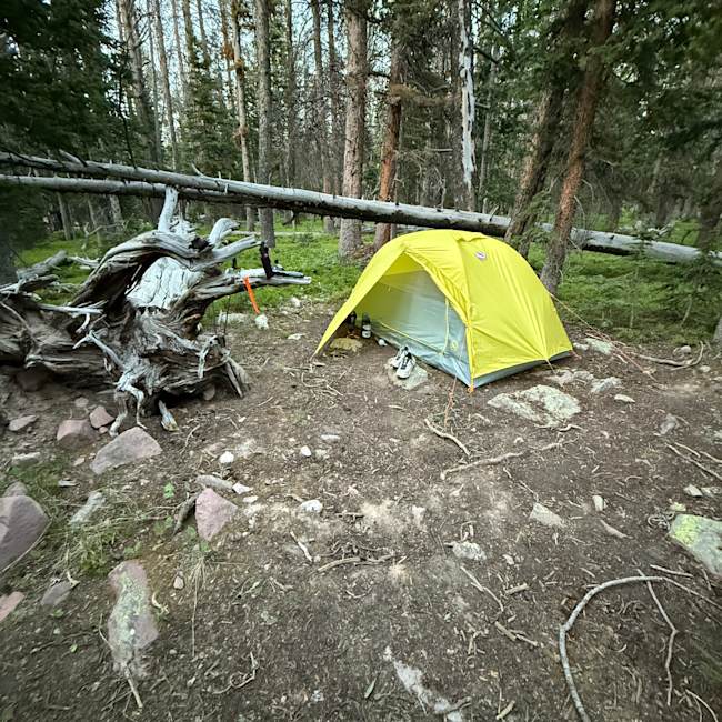 Big AgnesxBurton Blacktail2 ブラックテイル2 Blacktail-2-Hotel-02_320x.png?