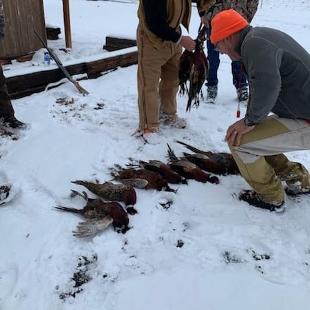 Expert Recommendation Content