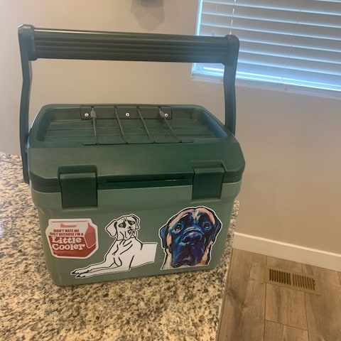 Expert Recommendation Content